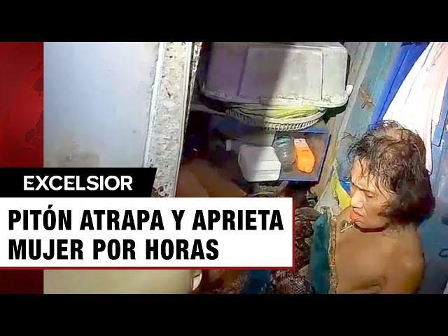 ⁣Colosal pitón atrapa a mujer tailandesa mientras lavaba los platos y la aprieta por 2 horas