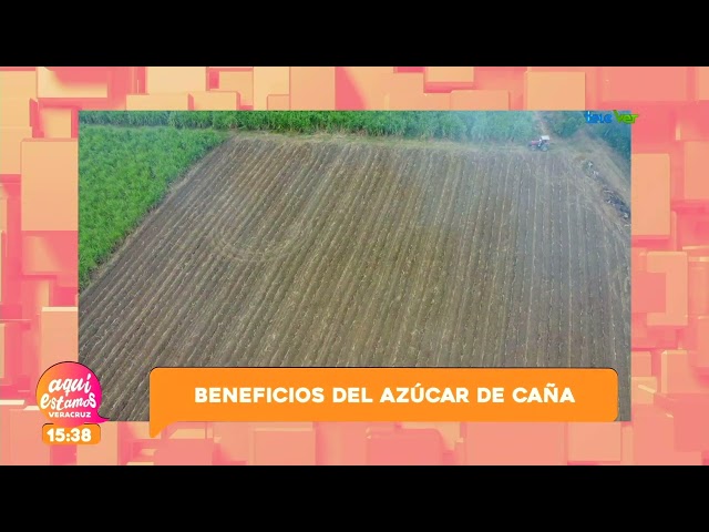 ⁣¿Cuáles son las propiedades de la caña? ¿Se recomienda el consumo de azúcar de caña?