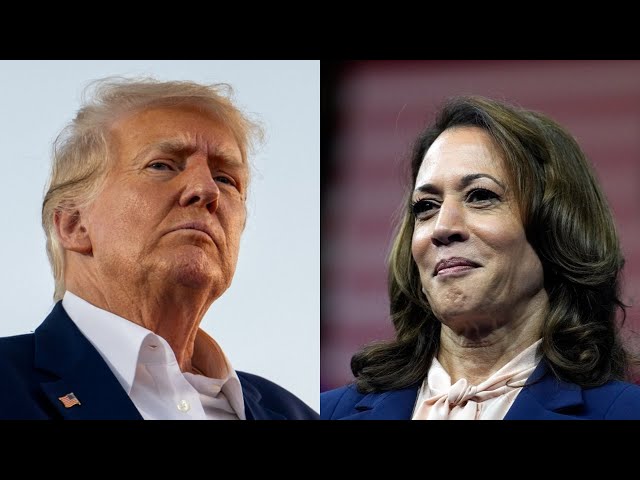 ⁣Donald Trump launches scathing attack on Kamala Harris