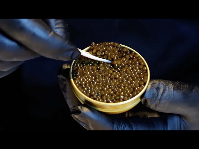 Way to Modernization: Cutting-edge tech helps China's Ya'an develop global caviar industry