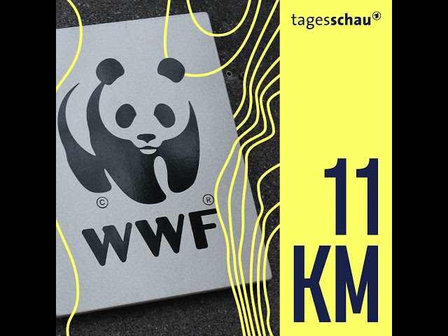 ⁣Deutsche Bank-Tochter: Greenwashing mit Panda? | 11KM - der tagesschau-Podcast