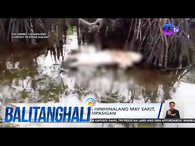 Bahay sa San Carlos Heights, natupok ng apoy | Balitanghali