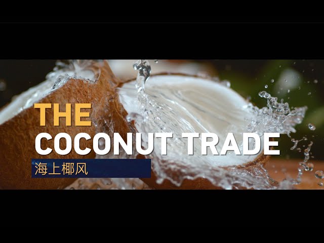 ⁣Le commerce de la noix de coco