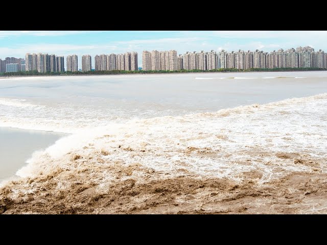 Live: 2024 Qiantang River tidal bore view in E China – A spectacular experience of the tides