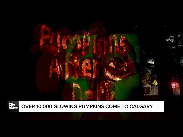 ⁣Over 10,000 glowing pumpkins come to Calgary