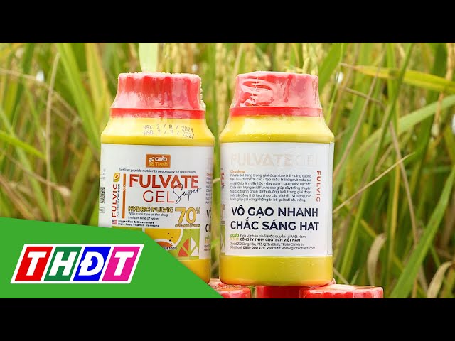 ⁣Giải pháp Fuvate Gel vô gạo cực nhanh - sáng hạt - nặng ký | THDT