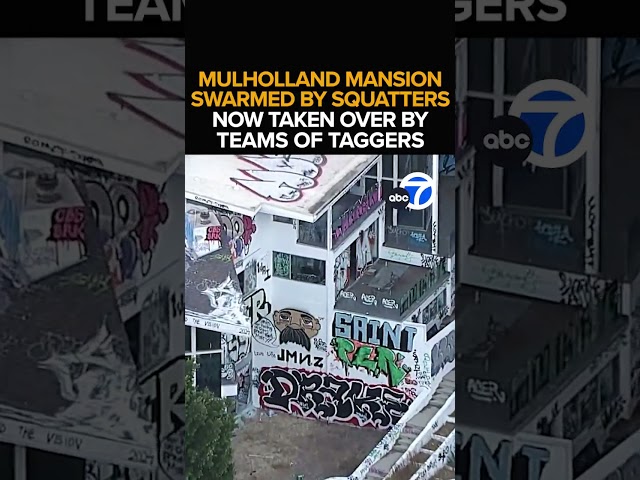 ⁣Squatters and taggers take over Hollywood Hills mansion