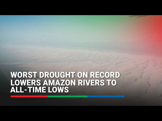 Worst drought on record lowers Amazon rivers to all-time lows | ABS-CBN News