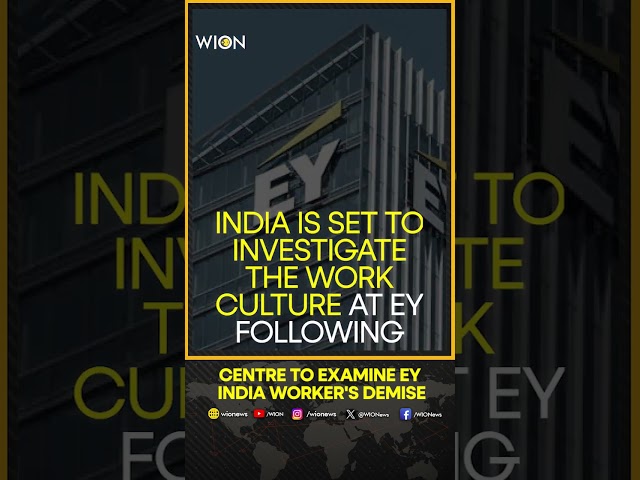 ⁣India's Labour Ministry: Probe is underway | WION Shorts