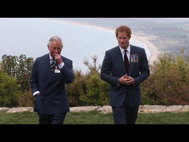 A reunion between Prince Harry and King Charles ‘doesn’t look likely’