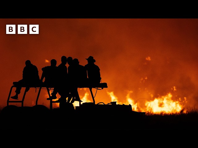 ⁣Uncontrollable wildfire threatens wildlife and crew  - BBC