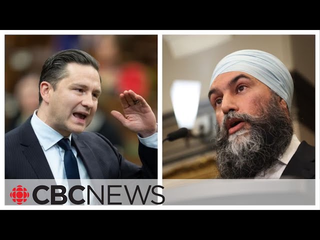 ⁣'I'm right here, bro': Singh, Poilievre have heated exchange during question period