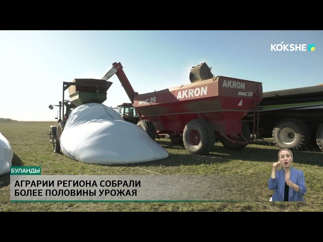 ⁣Аграрии региона собрали более половины урожая