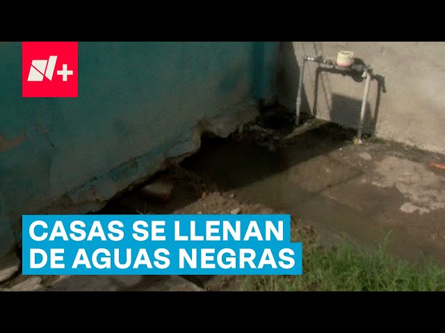 ⁣Colapso de alcantarillado deja aguas negras en 6 casas - N+