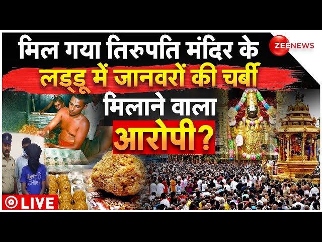 ⁣Andhara Pradesh Tirupati Balaji Laddu Controversy LIVE:मिल गया वो शख्स? जिसने लड्डू में मिलाई चर्बी!