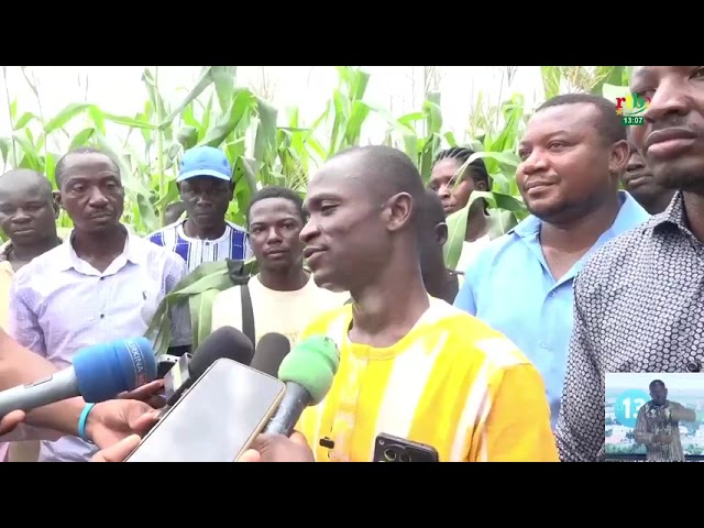 ⁣Le ministre de l’agriculture visite des champs dans le centre-sud et le centre-est