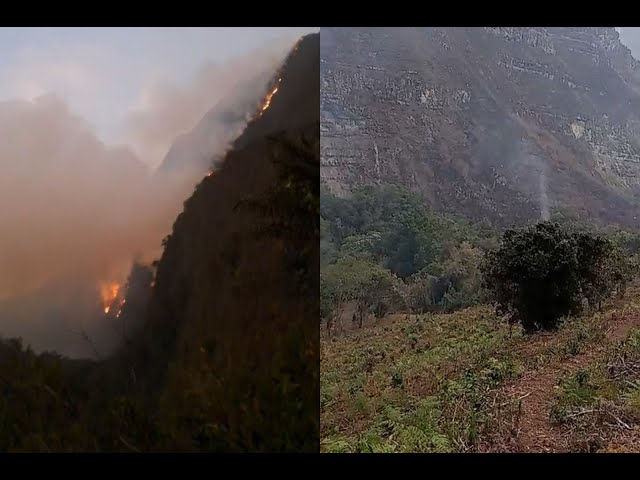 Amazonas: Comuneros vuelven a iniciar incendios forestales