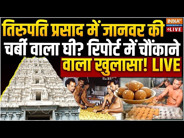 ⁣Fish Oil Mix In Tirupati Prasad LIVE: तिरुपति में जानवर की चर्बी वाला घी? चौंकाने वाला खुलासा!