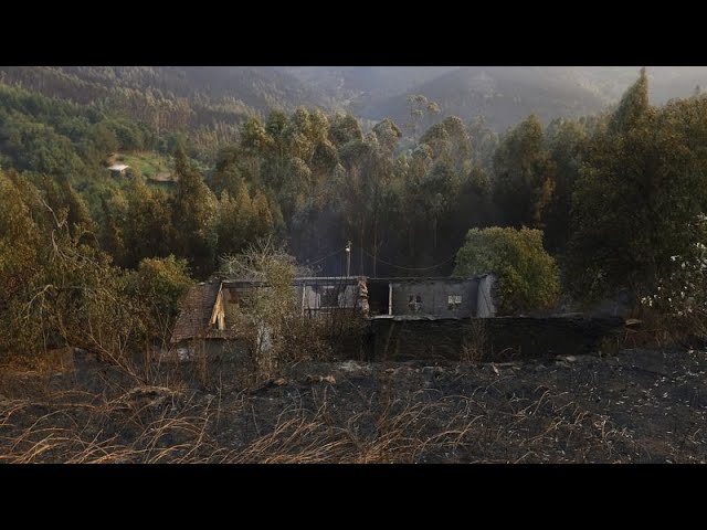 Le Portugal décrète un jour de deuil national en mémoire aux victimes des feux qui ravagent le pays