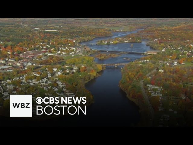 ⁣Warming of the Gulf of Maine topic of new documentary by filmmaker Brian Skerry