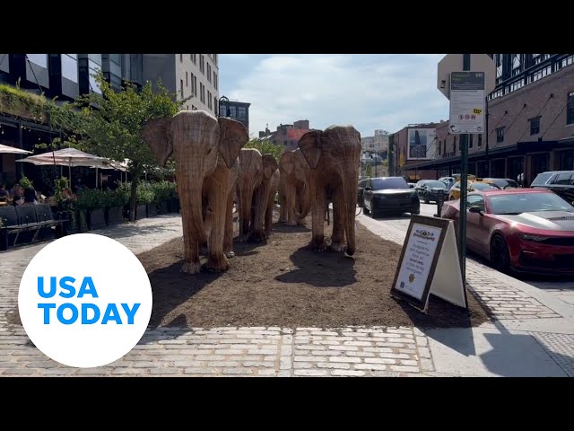 ⁣Elephant installation hopes to raise awareness of conservation efforts | USA TODAY