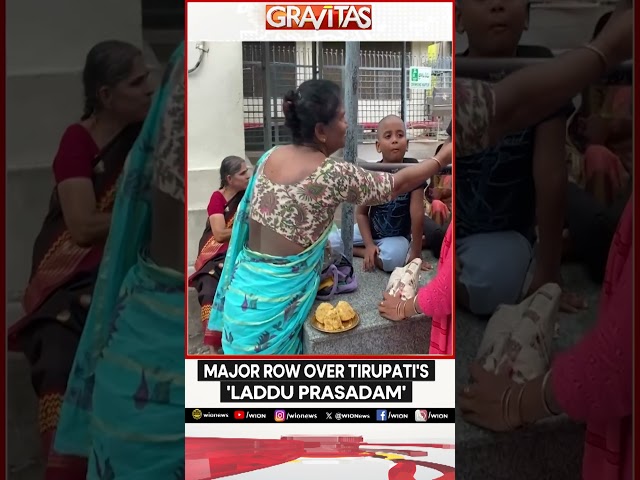 Major row over Tirupati's 'Laddu Prasadam' | Garvitas | WION Shorts