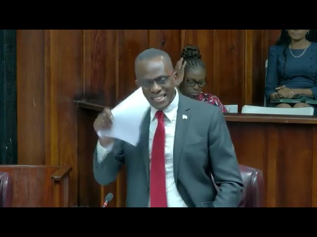 Prime Minister Hon. Philip J. Pierre speaks on Insolvency Bill