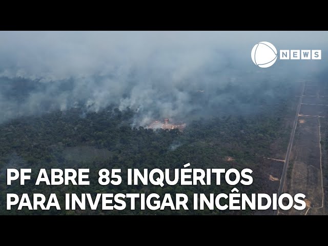 ⁣PF abre 85 inquéritos para investigar incêndios florestais