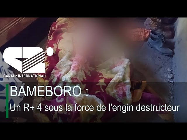 ⁣BAMEBORO : Deux présumés assassins aux arrêts