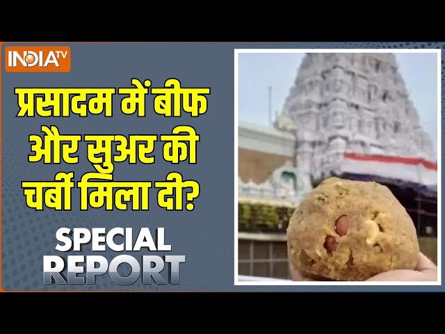 Special Report: सबसे बड़े मंदिर में आस्था से खिलवाड़.. जगन जिम्मेदार? Animal Fat In Tirupati Laddu