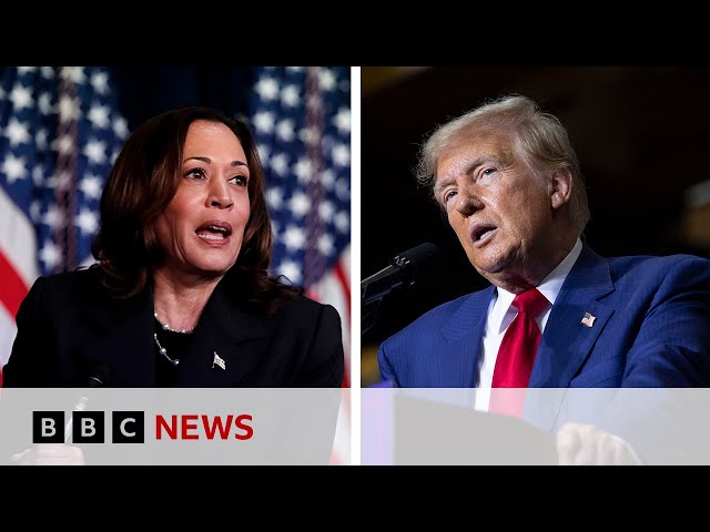 Will Michigan decide the US election result? | BBC News