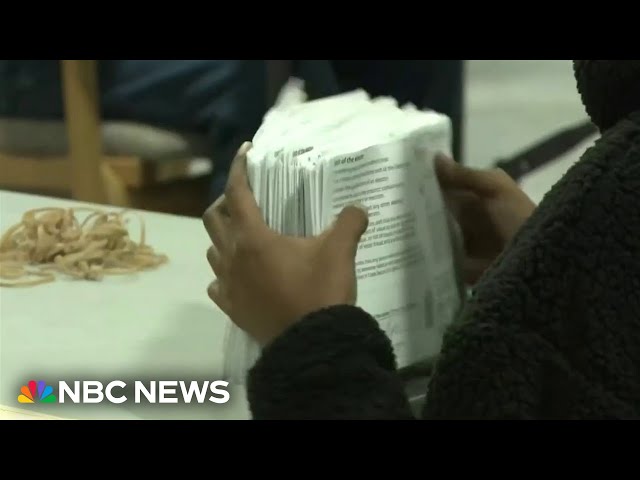 ⁣Georgia elections officials make controversial change to ballot counting