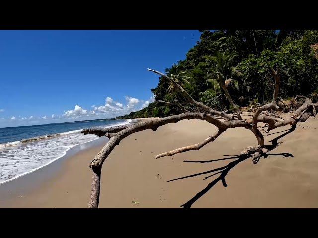 ⁣Right Here - Salybia Beach, Saline Bay