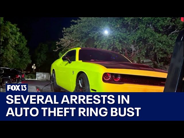 ⁣Multiple arrests in suspected auto theft ring