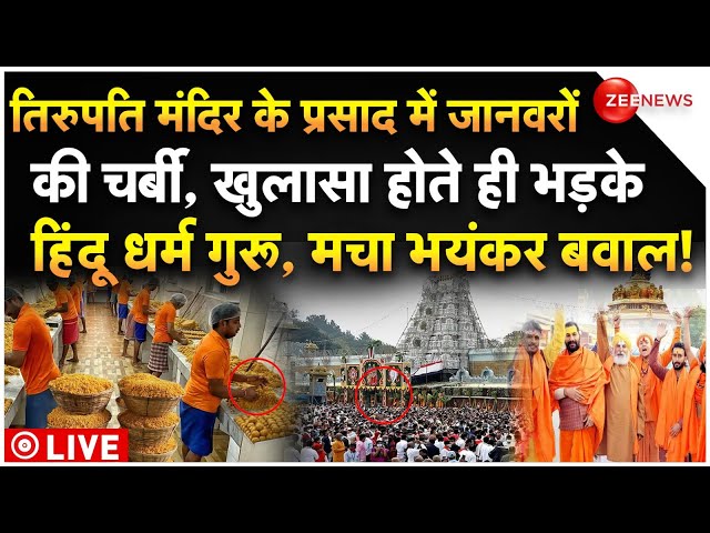 ⁣Tirupati Laddu Animal Fat Row Big Update LIVE : तिरुपति मंदिर में साजिश, भड़के हिंदू धर्म गुरू!