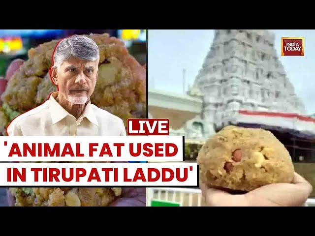 ⁣Tirupati Laddu Row LIVE | Tirupati Temple Sets Up Panel To Examine Ghee Quality | India Today LIVE