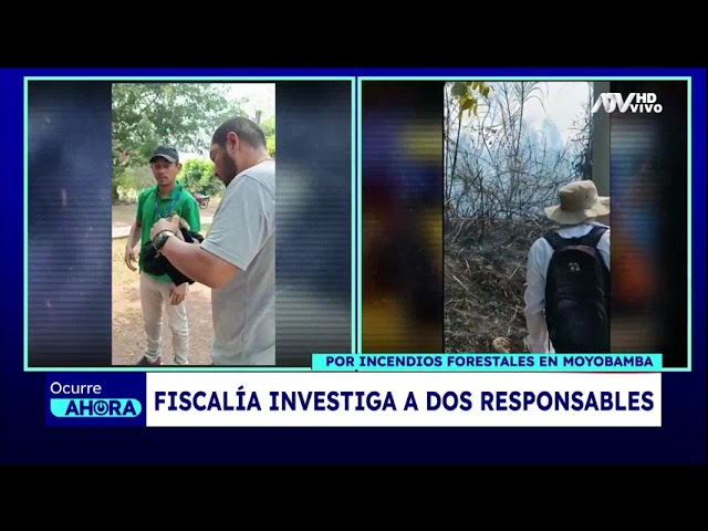 ⁣Fiscalía investiga a dos presuntos responsables de incendios forestales en Moyobamba