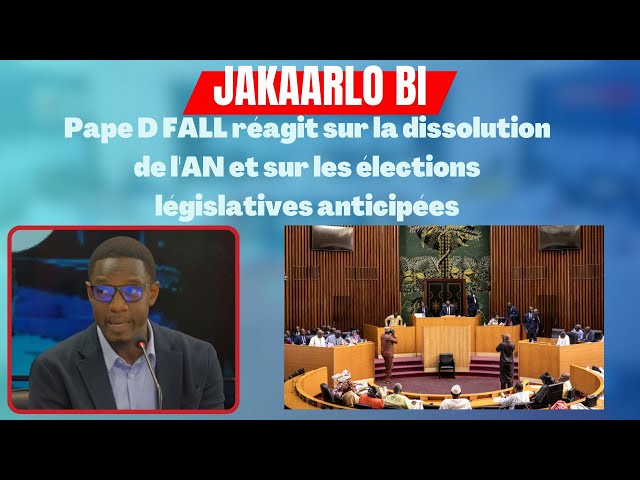 ⁣Pape D FALL réagit sur la dissolution de l'AN et sur les élections législatives anticipées