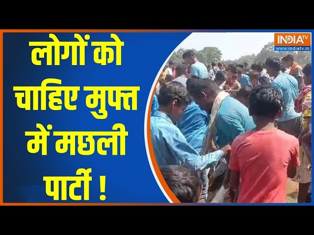 Bihar Nitish Kumar: लोगों को चाहिए मुफ्त में मछली पार्टी ! Nitish Kumar | Protest | Fish loot |Bihar