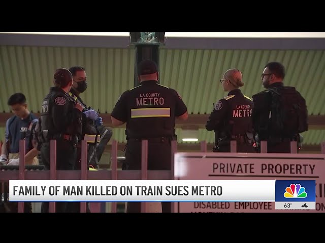 Family of man killed on train sues Metro