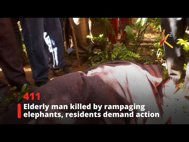 ⁣Elderly man killed by rampaging elephants, residents demand action