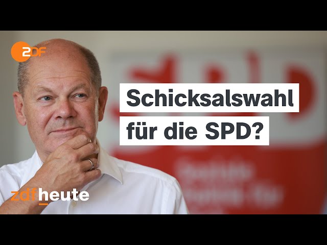 Brandenburg-Wahl: Auch eine Entscheidung über die Ampel? | ZDF Morgenmagazin