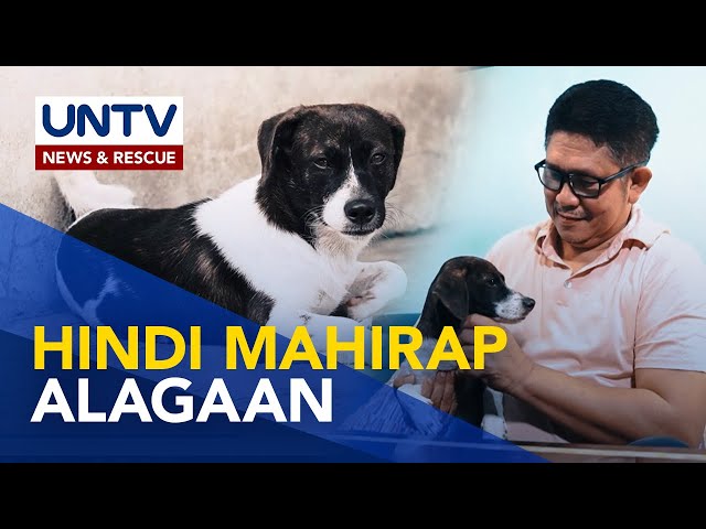 ⁣Mga dapat tandaan at paghandaan sa pag-aalaga ng Dachshund-Shih Tzu mix | Pet Talk