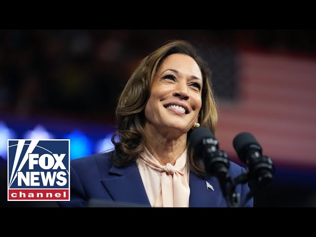 Kamala Harris wants to ‘disguise’ her policy preferences: Kaylee McGhee White