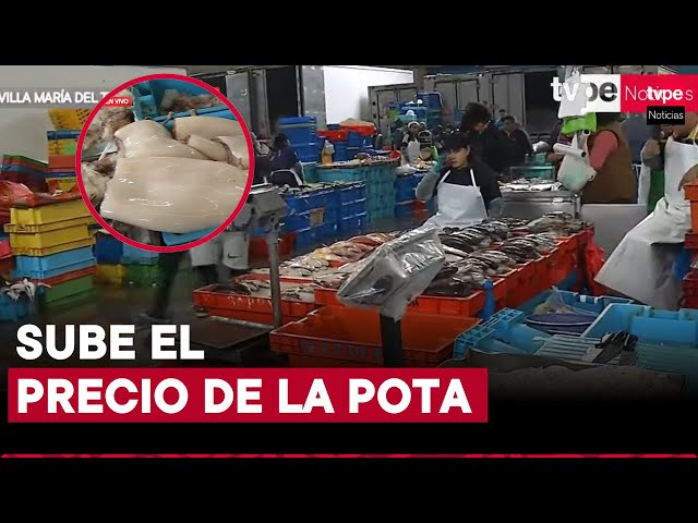 ⁣Aumenta el precio de la pota: se vende a S/22 en el Terminal Pesquero