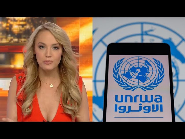 ⁣Caroline Marcus slams ‘ridiculously one sided’ UN resolution