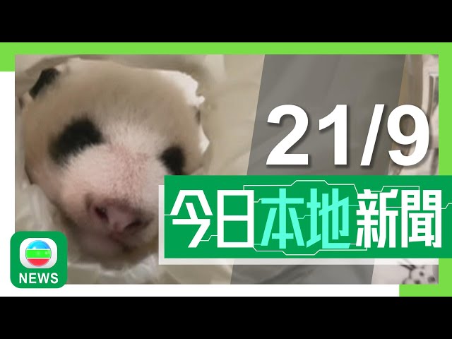 香港無綫｜港澳新聞｜2024年9月21日｜【國慶75周年】大埔舉行匯景巡遊慶祝 今晚有「奶龍」主題無人機表演｜【大熊貓龍鳳胎】弟弟恆溫箱內不斷發出叫聲 期待「新朋友」來臨心情興奮｜TVB News