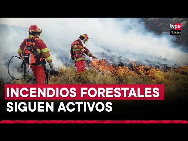 ⁣Incendios forestales en Perú: ¿cuál es la situación actual y qué regiones son las afectadas?