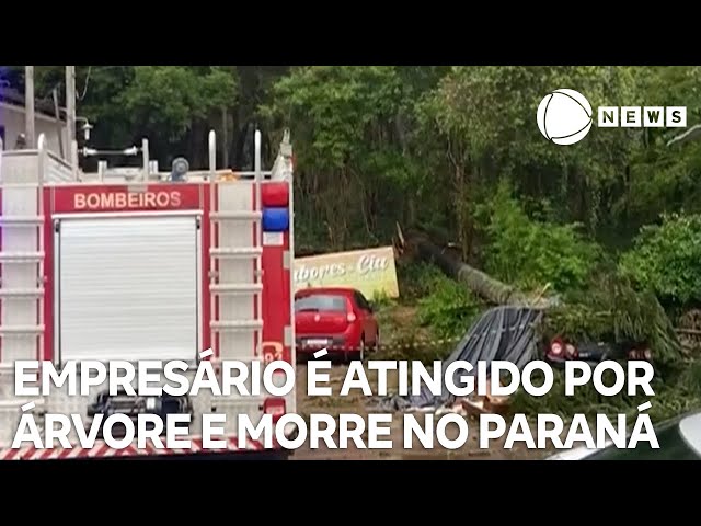 Empresário é atingido por árvore e morre no Paraná