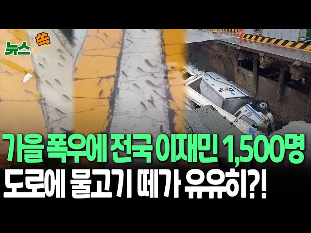 [뉴스쏙] 112년 만의 최대 '가을폭우'에 이재민 1,500여명…도로에는 물고기 떼가 유유히 헤엄?! / 연합뉴스TV (YonhapnewsTV)